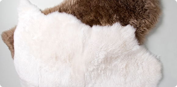 Decorative Rugs